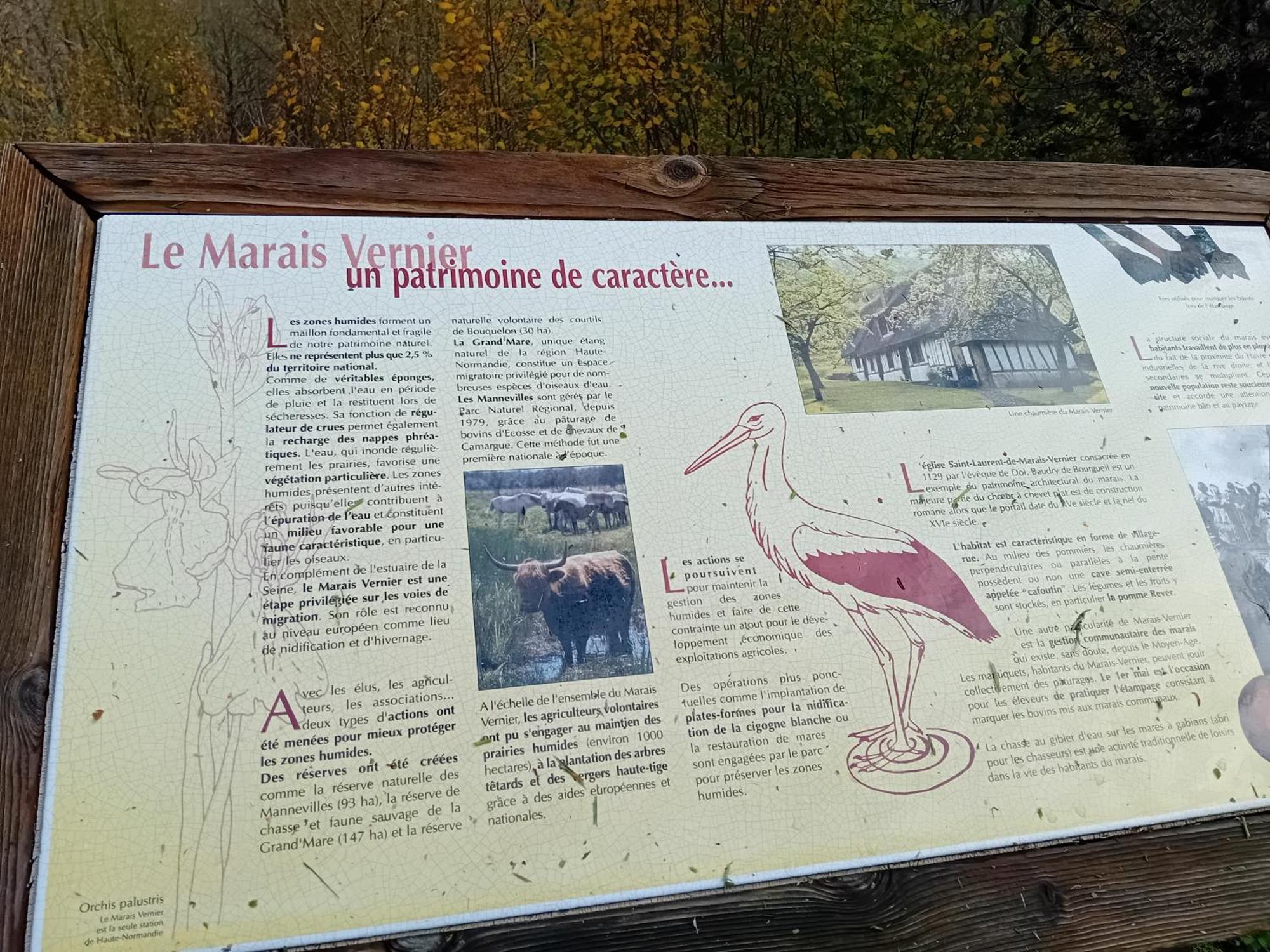 Gite Du Roy Marais-Vernier Экстерьер фото